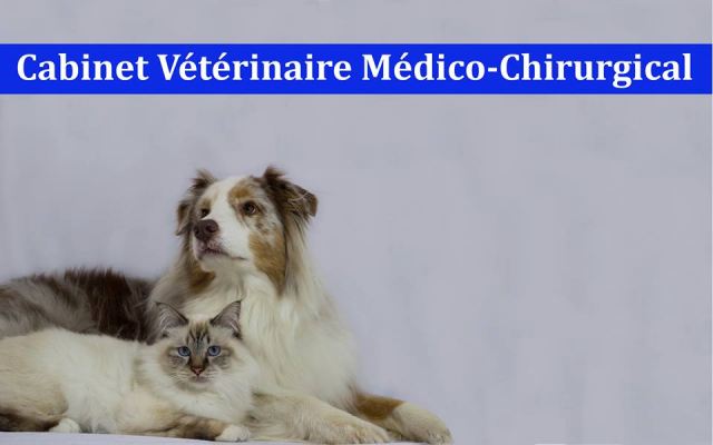 Cabinet vétérinaire médico-chirurgical CL VET