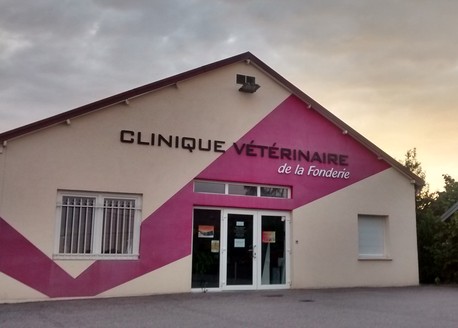 Clinique Vétérinaire de la Fonderie