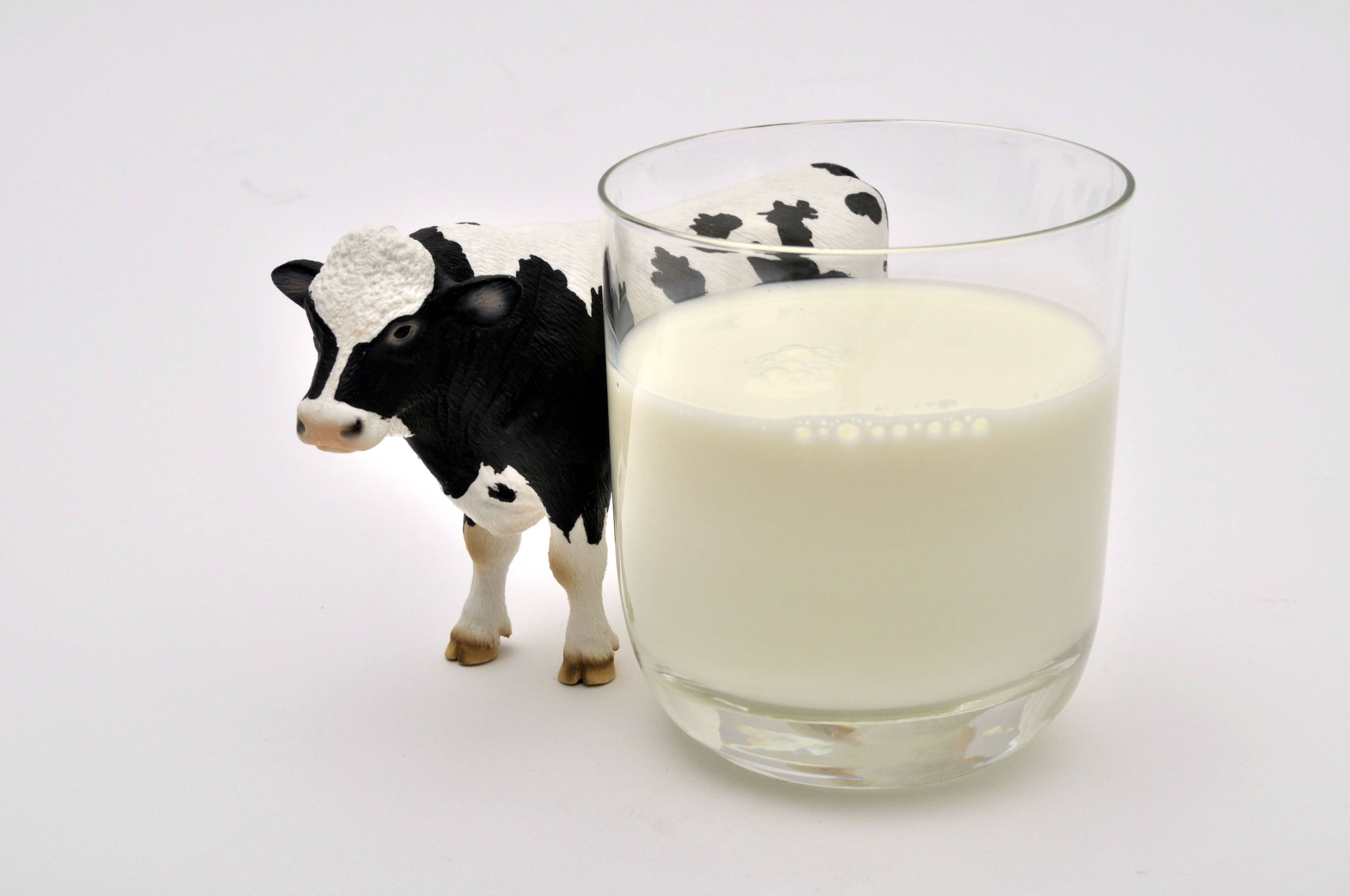 Examens complémentaires et Qualité du lait